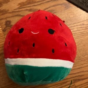 Watermelon Squishmallows